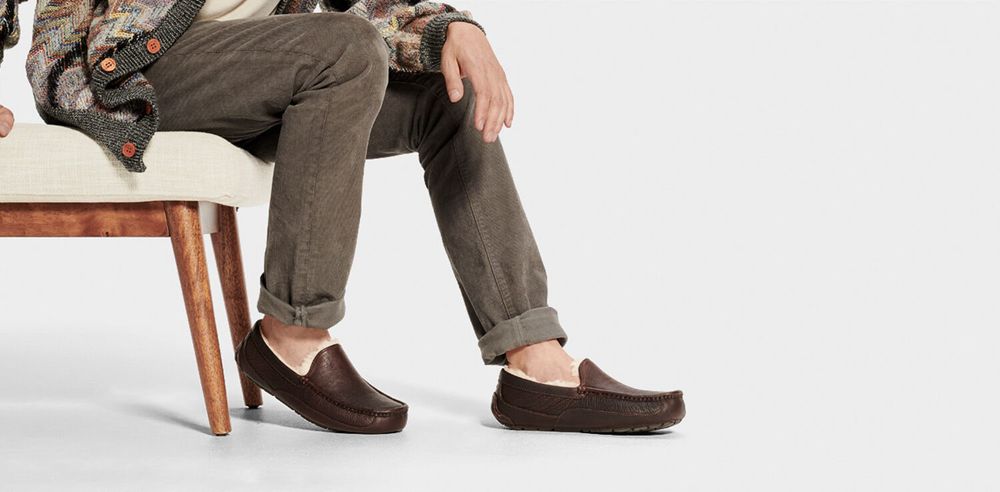 Ugg Slipper Mens - Ugg Ascot Leather Brown - 216YVIMQE